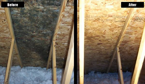 Black Mold Removal in Abilene KS — Hathaway Environmental in Abilene KS