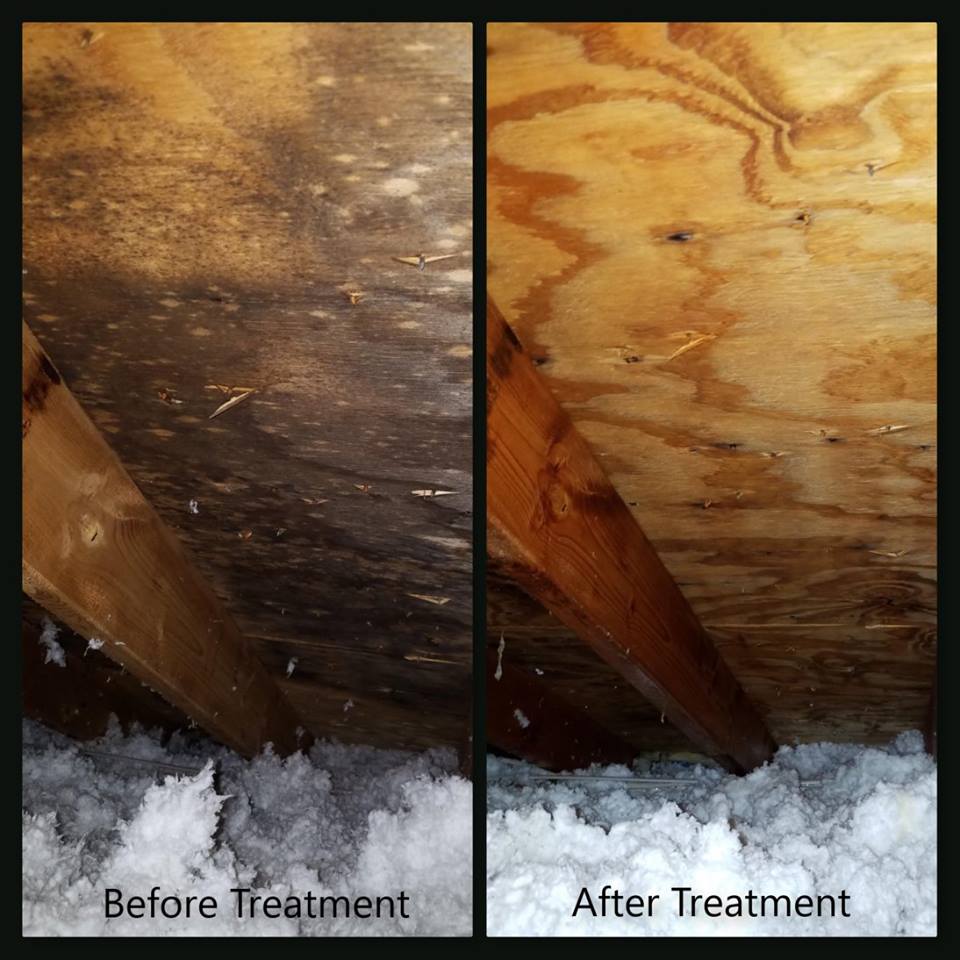 Commercial Mold Removal in Solon, OH — Hathaway Environmental