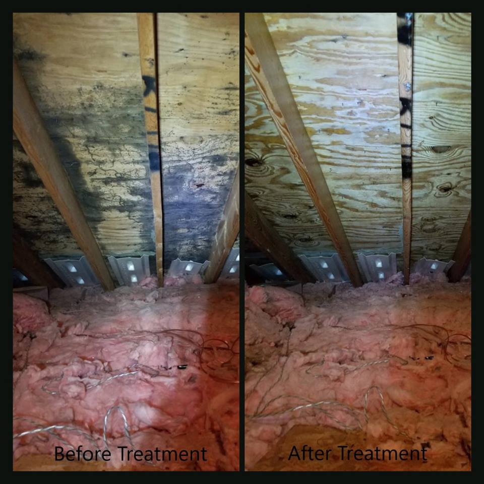 Mold Inspection in Abilene KS — Hathaway Environmental in Abilene KS