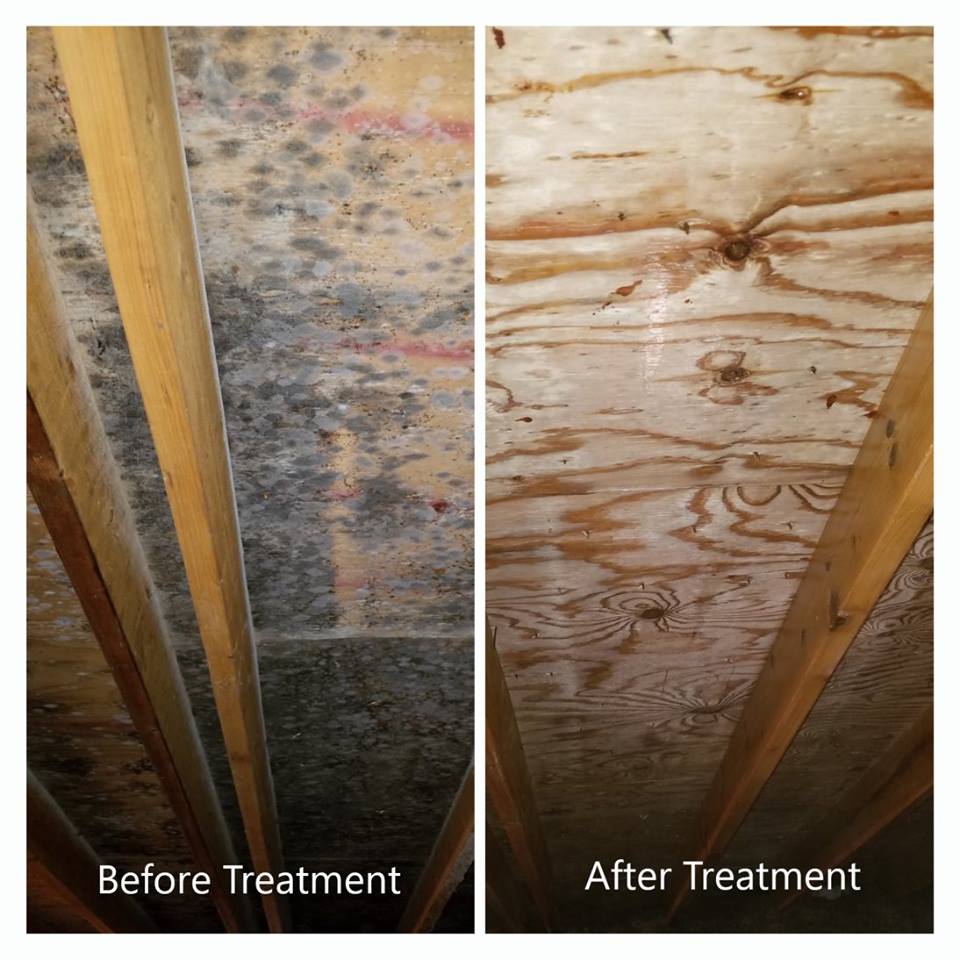 Mold Inspection Services in Abilene KS — Hathaway Environmental in Abilene KS