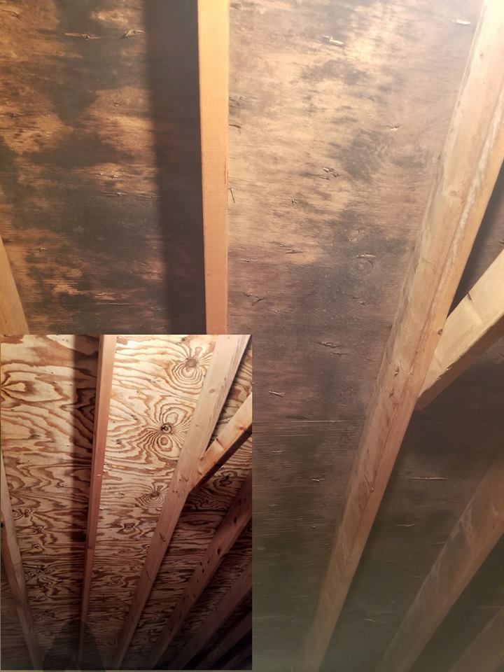 Mold Removal in Abilene KS — Hathaway Environmental in Abilene KS
