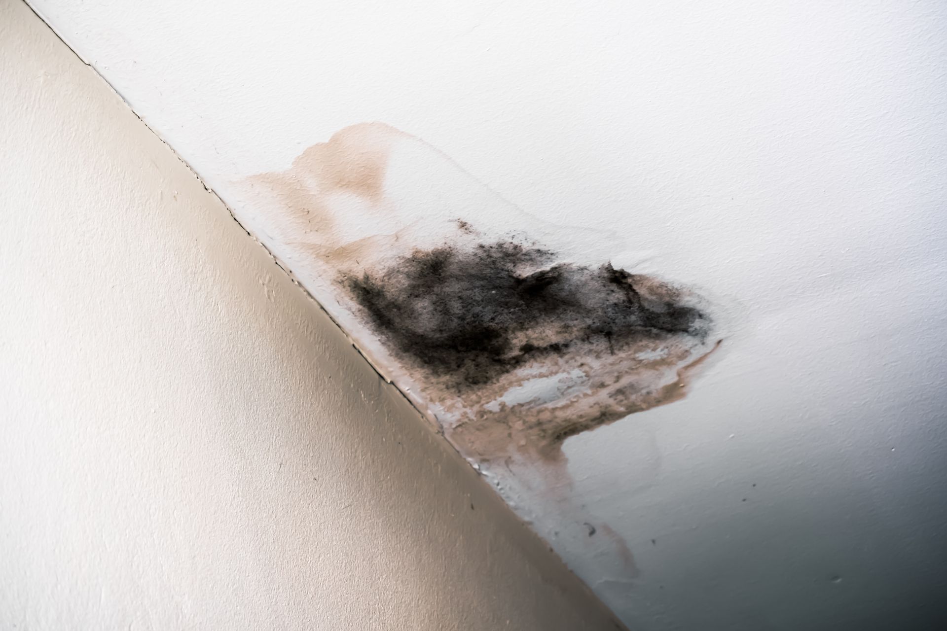 Asbestos Abatement — Hathaway Environmental in Abilene, KS Asbestos Abatement — Hathaway Environmental in Abilene, KS
