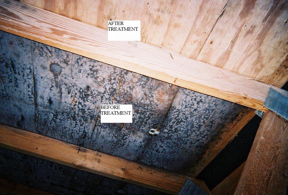 Water Damage in Abilene KS — Hathaway Environmental in Abilene KS